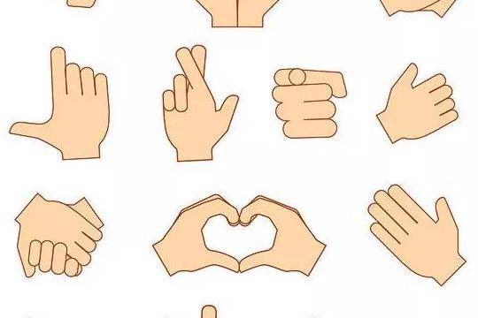 【实践动态】手势语辅助在自闭症儿童语言发展中的应用
