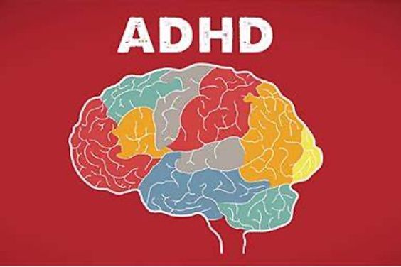 精华总结——关于ADHD的35个常见错误认知（第四期）