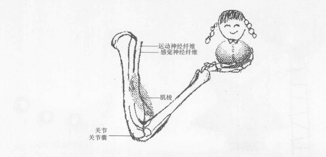 被我们忽略的本体觉还有你不知道的本体觉家庭训练小游戏