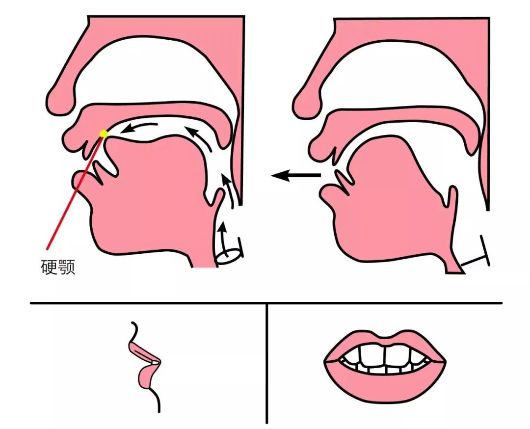 舌下的急救药：硝酸甘油